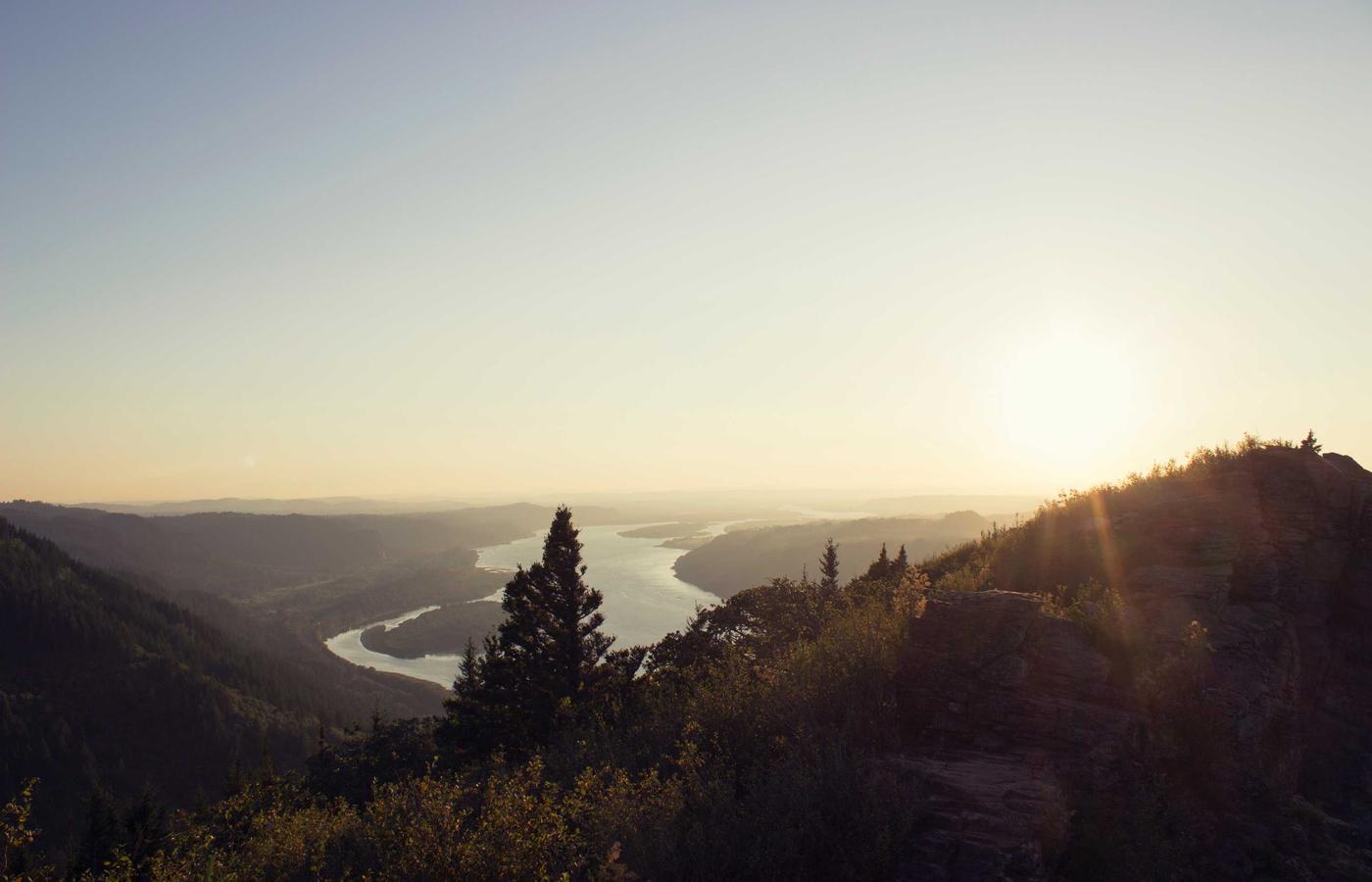 Жоспарлы тазалау