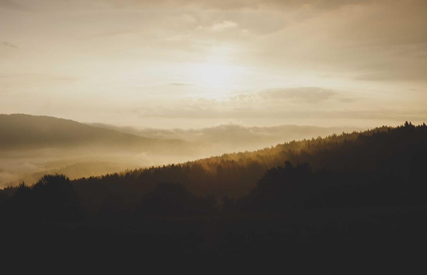 Неге бізді таңдау керек?