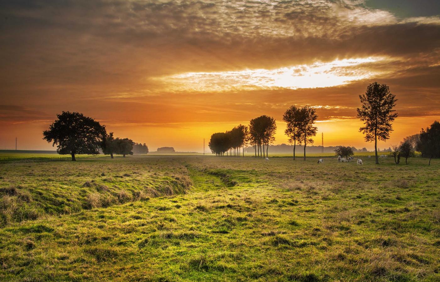 Мадина Ахметова